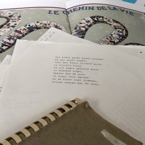 De 30 verzen van De Onweg